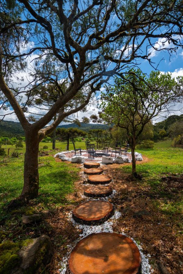 Fazenda Rincao Comprido *