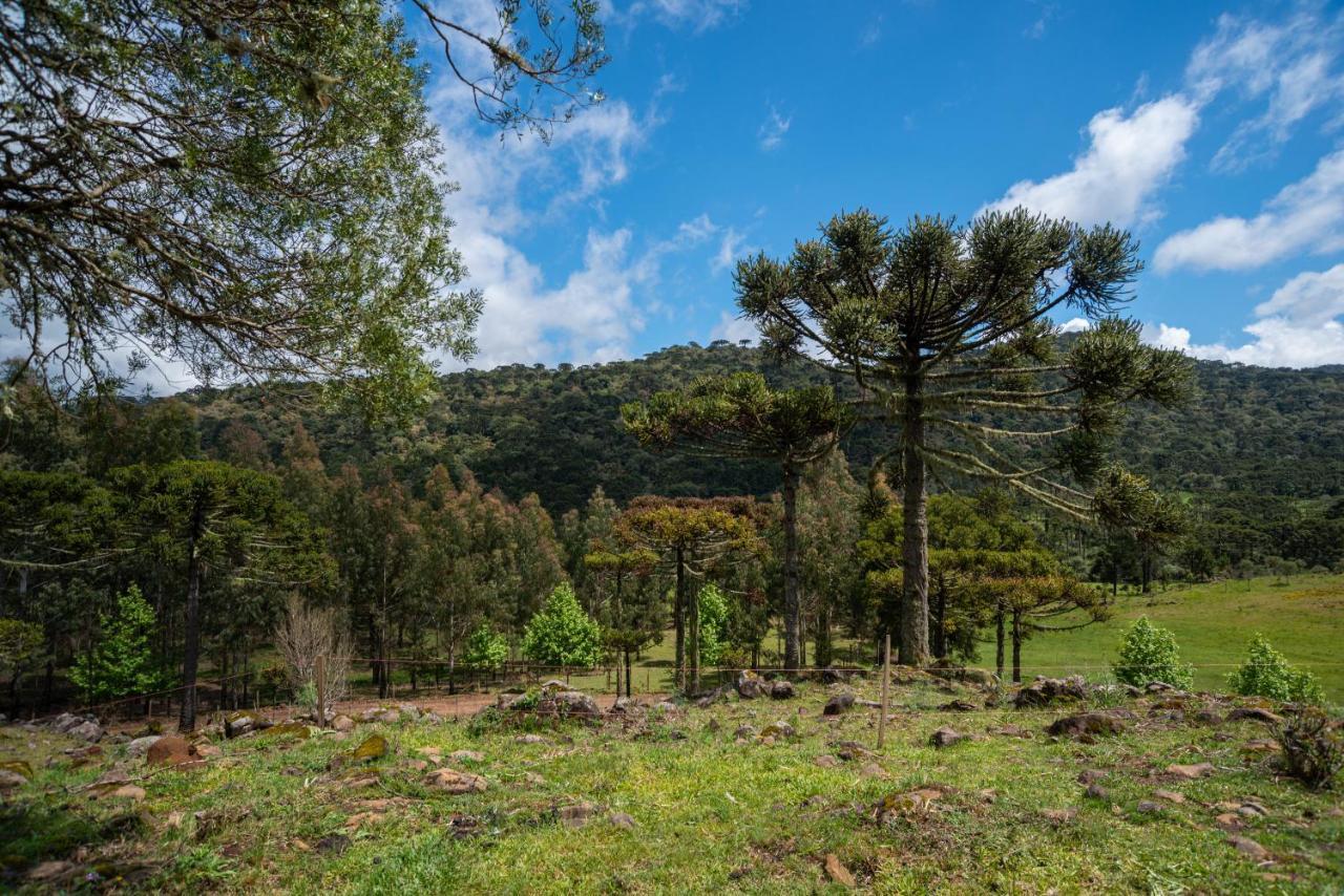 Fazenda Rincao Comprido * Urubici